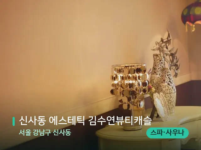 서울 강남구 신사동 신사동 에스테틱 김수연뷰티캐슬 — 데이 스파 인테리어