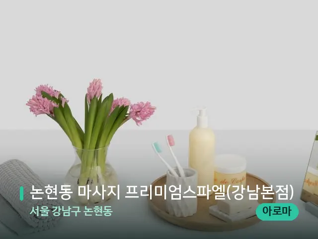 서울 강남구 논현동 논현동 마사지 프리미엄스파엘(강남본점) — 데이 스파 인테리어
