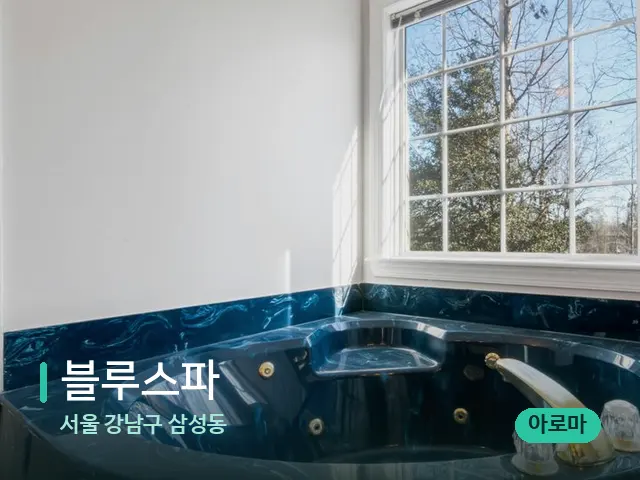 서울 강남구 삼성동 블루스파 — 데이 스파 인테리어