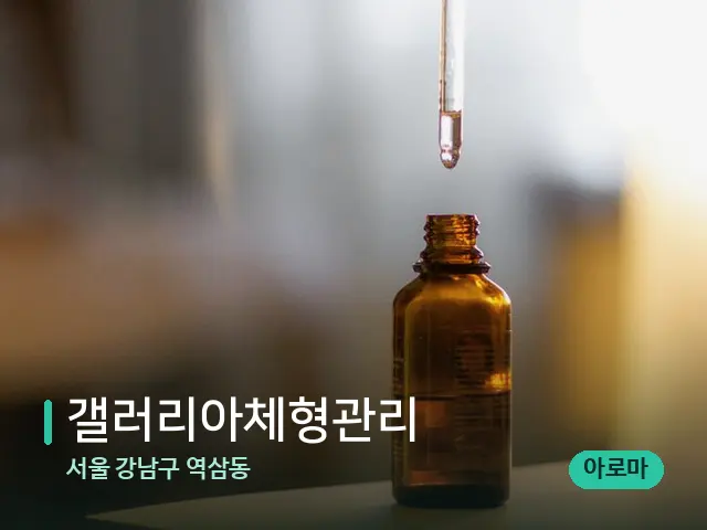 서울 강남구 역삼동 갤러리아체형관리 — 마사지 오일과 도구
