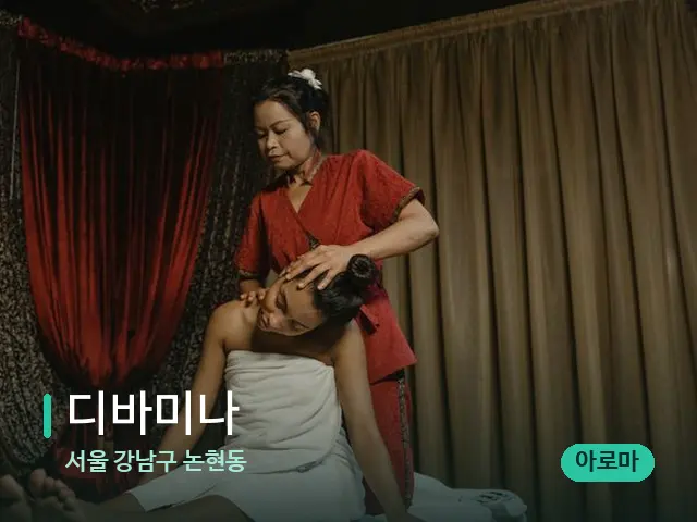 서울 강남구 논현동 디바미나 — 스파 마사지 베드