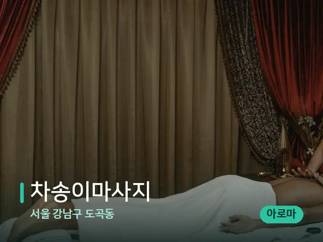 서울 강남구 도곡동 차송이마사지 — 스파 마사지 베드